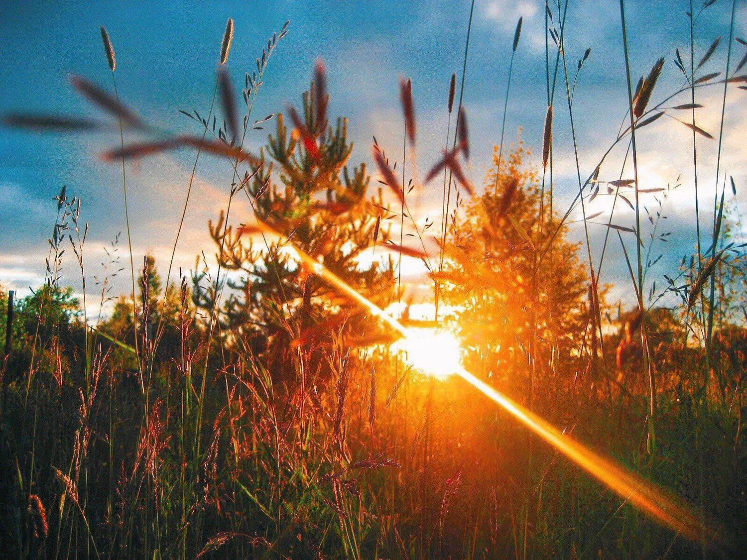 фотографалинция, Алинция Савельева