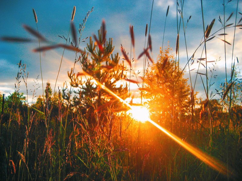 фотографалинция When the Seasons Change фото превью