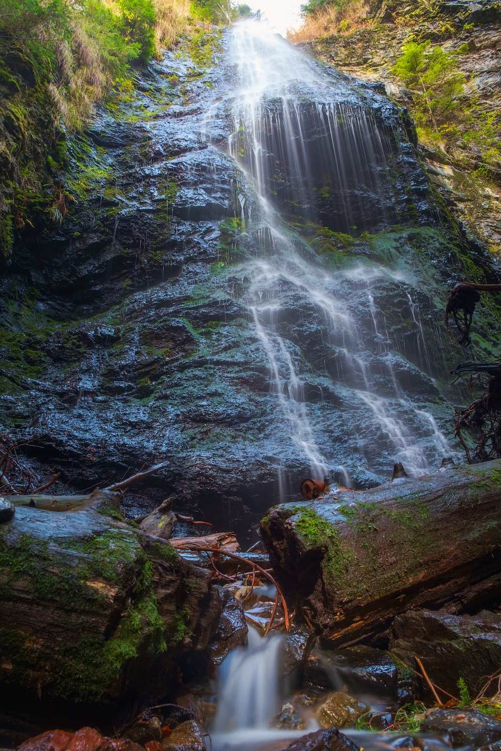 #nature, #туман, #лес, #oсень, #украина, #карпаты, #пейзаж, #закат, #туман, #солнце, #свет, #mountain range, #mountains, #туризм, #лес, #nature, #природа,, Леонид Морозов