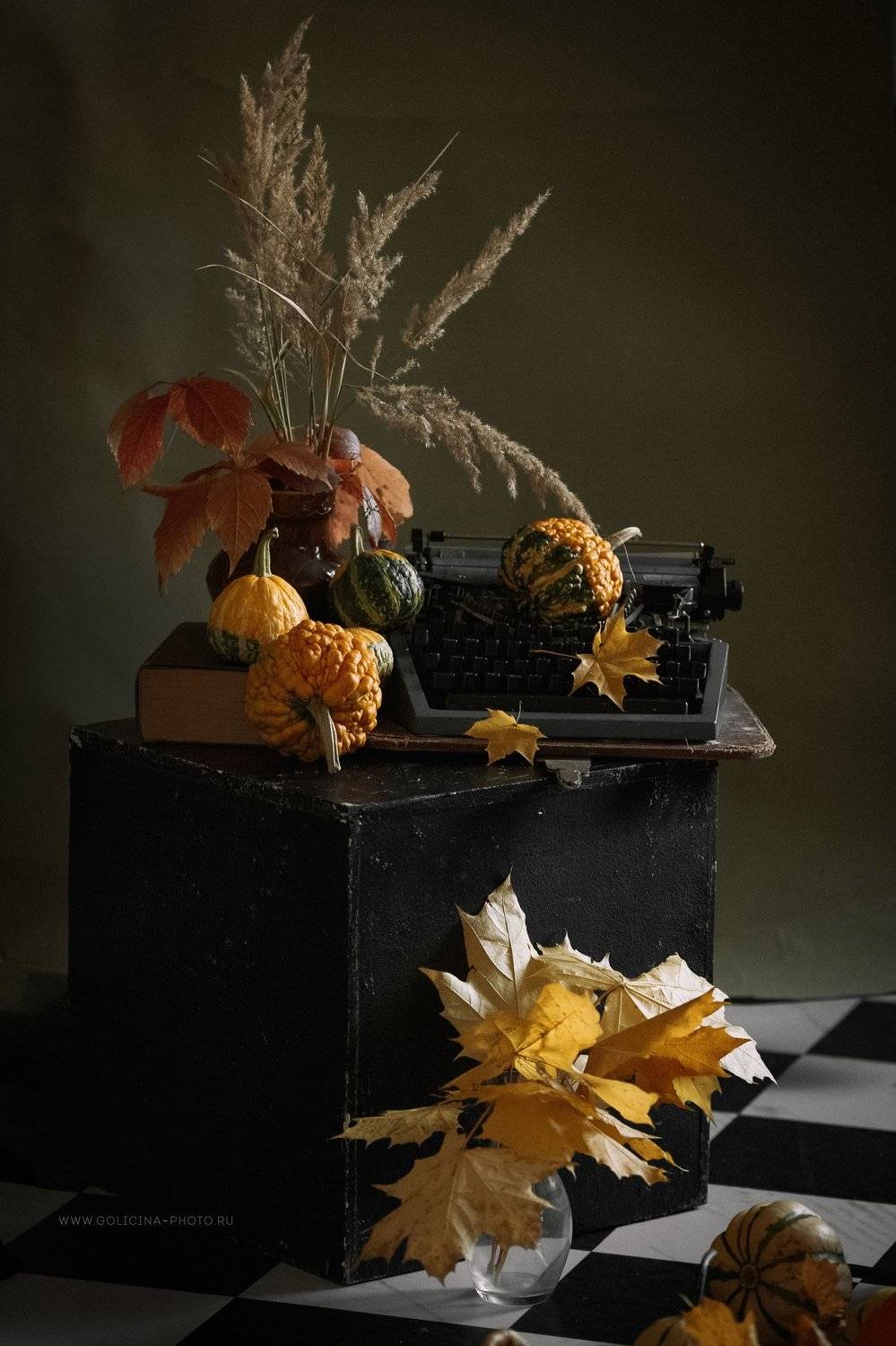 студия осень тыквы, Svetlana Golicyna