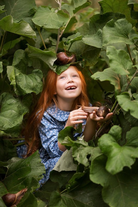 Улитка фото превью