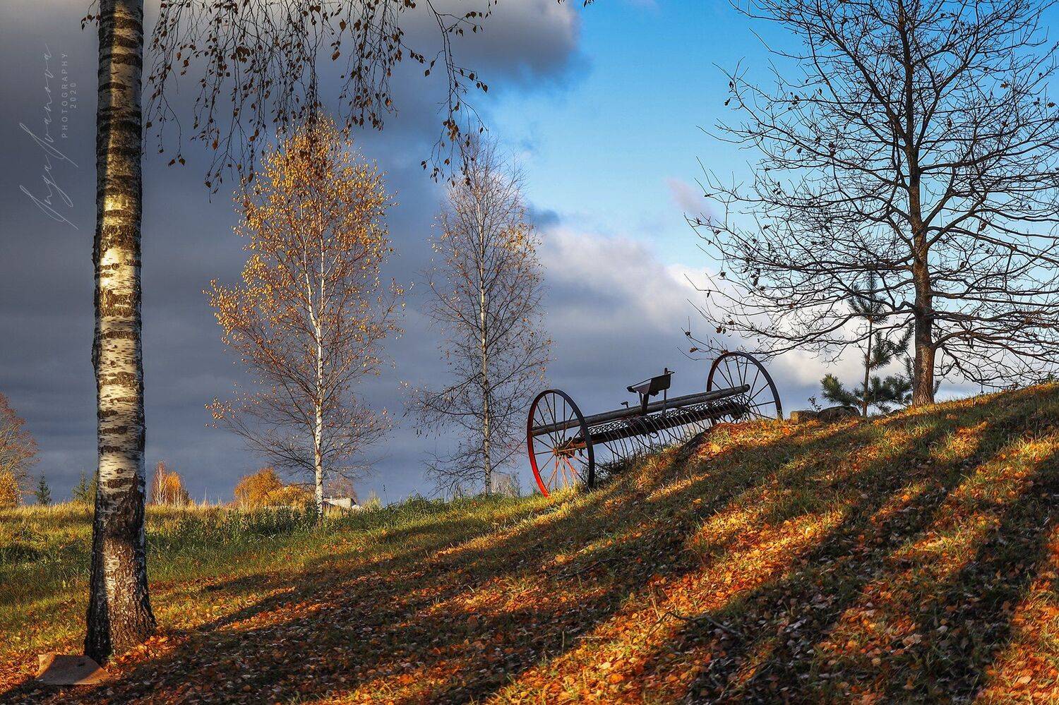 , Инга Иванова