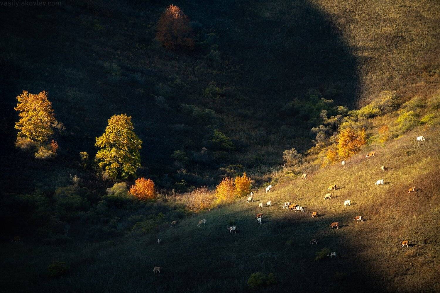 екатеринбург, яковлевфототур, фототур, василийяковлев, урал, долгие горы, Василий Яковлев