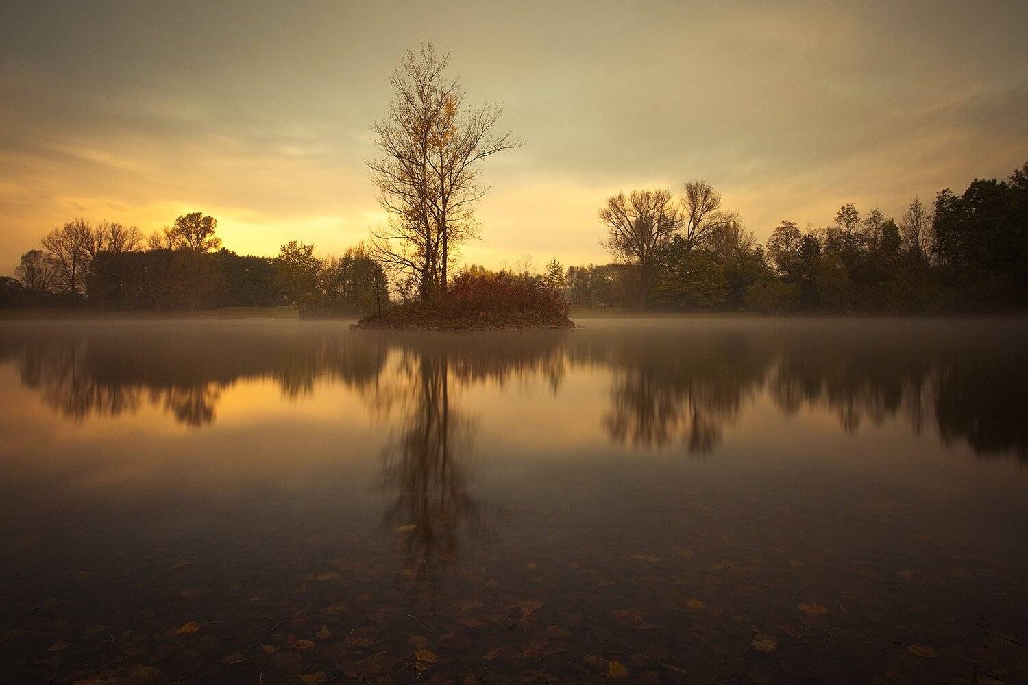 Laguna. Автор: Robert Adamec , Robert Adamec
