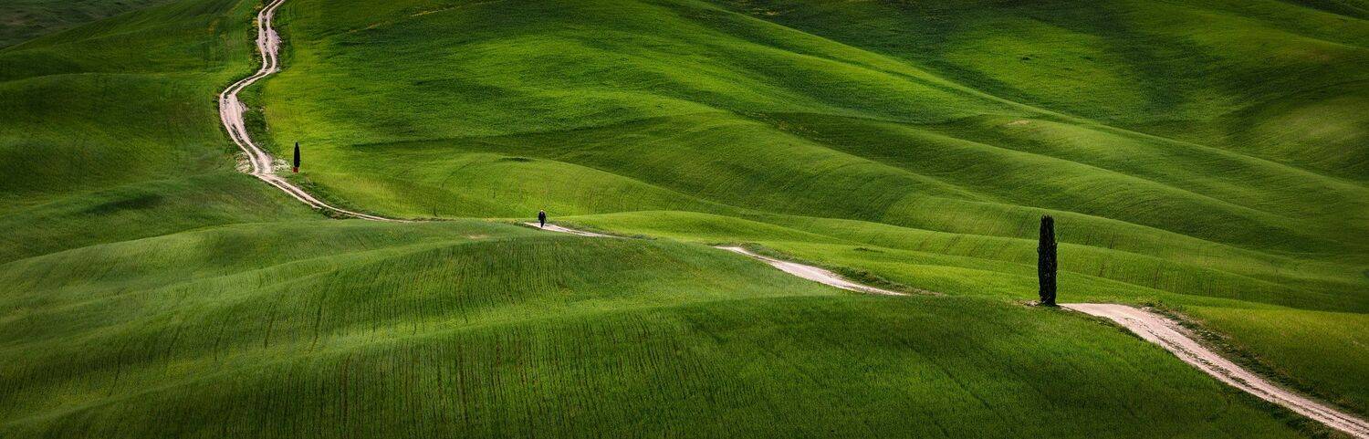 поля, дорога, Александр Безмолитвенный