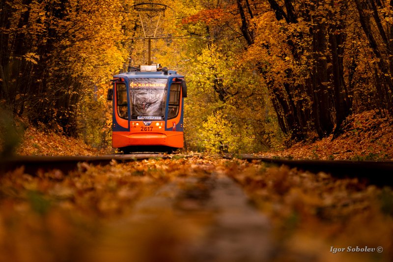 Осенний трамвай фото превью