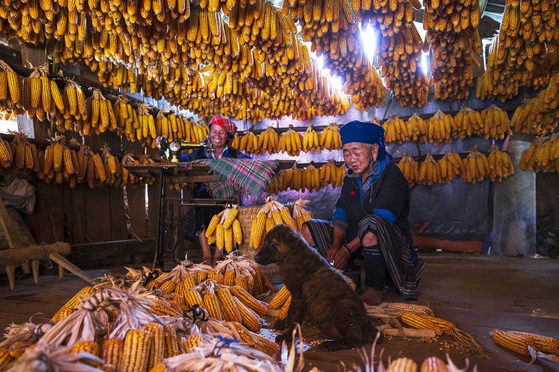 #sellingphoto #happy Happy Home фото превью