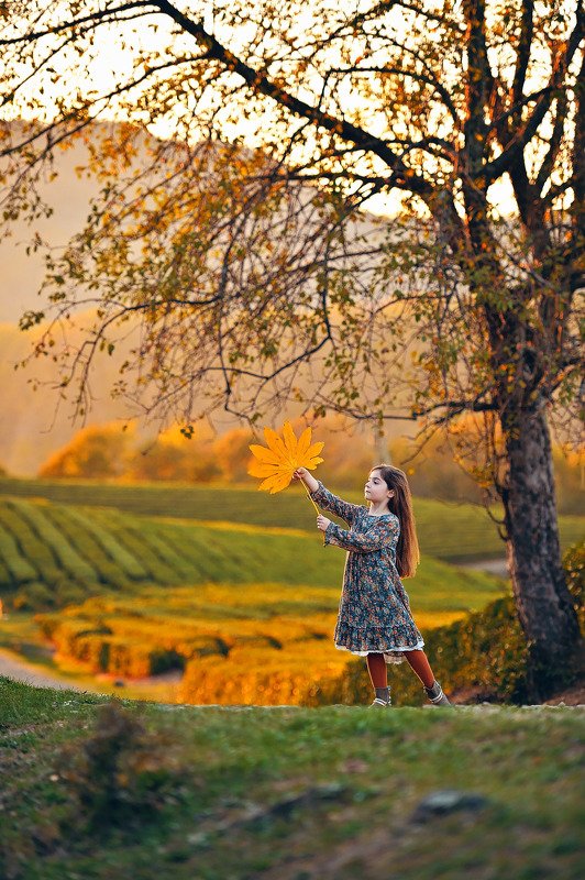 осень Последний листочек фото превью