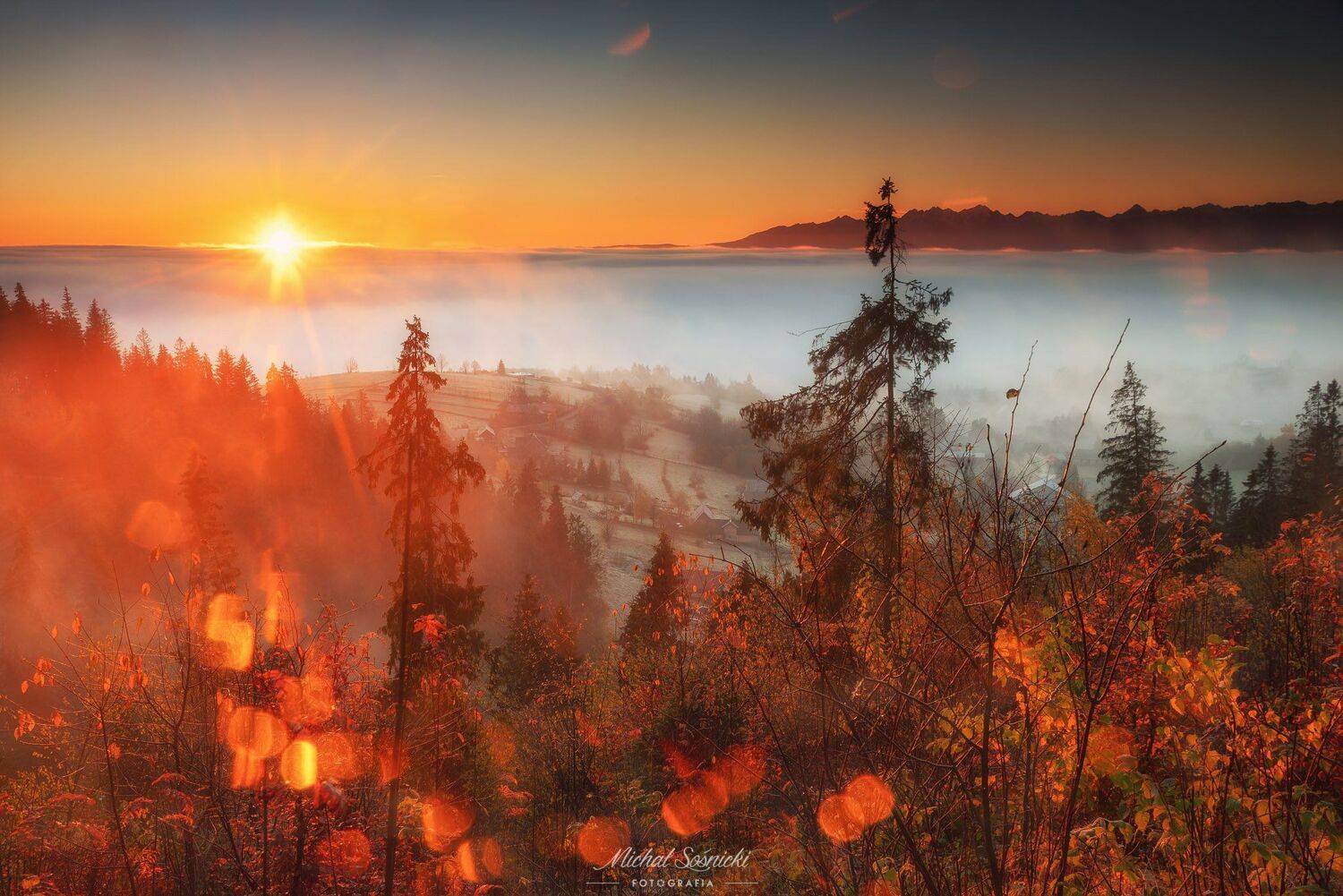 #tree #light #autumn #sunrise #poland #pentax #benro #nature #amazing, Michał Sośnicki