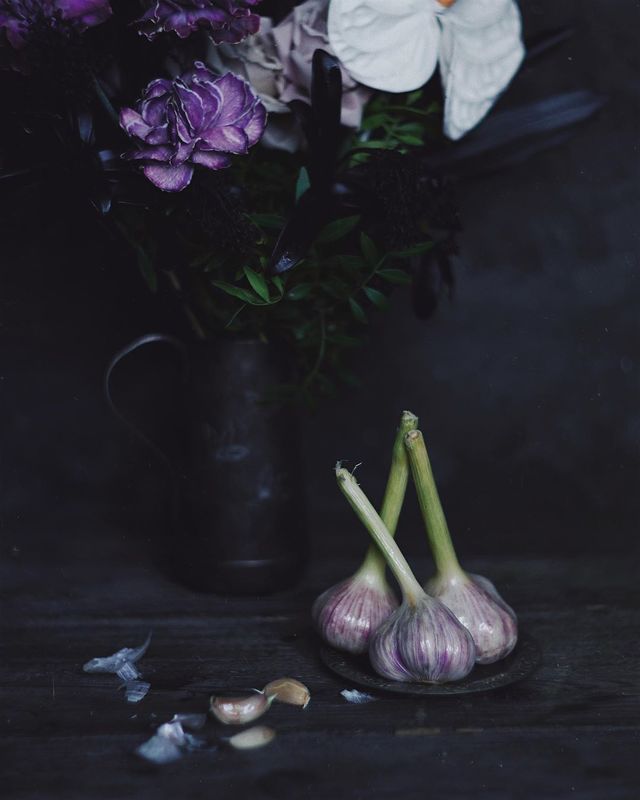 натюрморт, чеснок, фиолетовый  фото превью