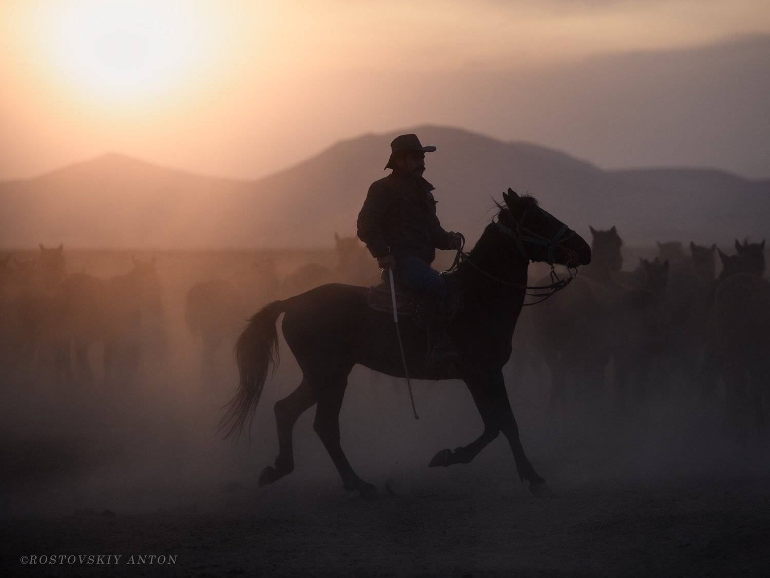 фототур, каппадокия, кайсери, лошади, табун, закат,, Антон Ростовский