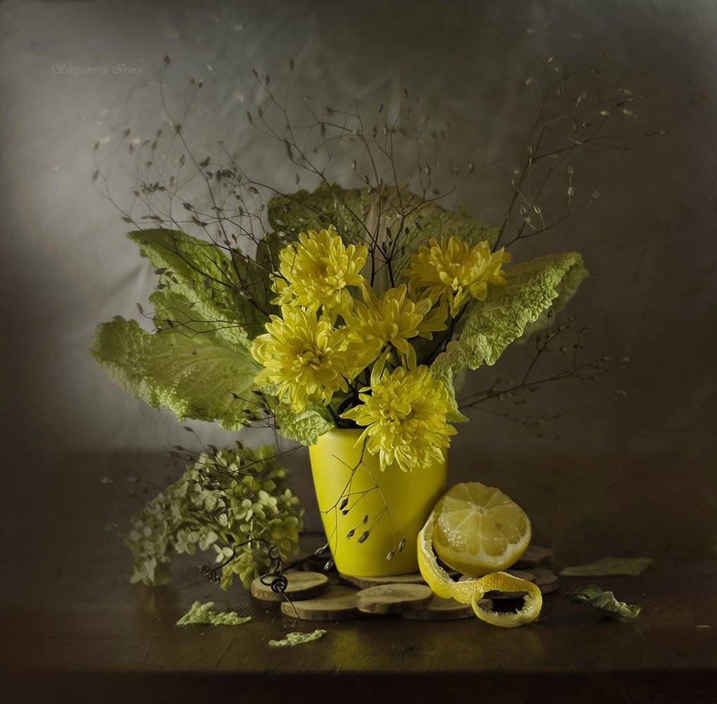 , Шипунова Ирина