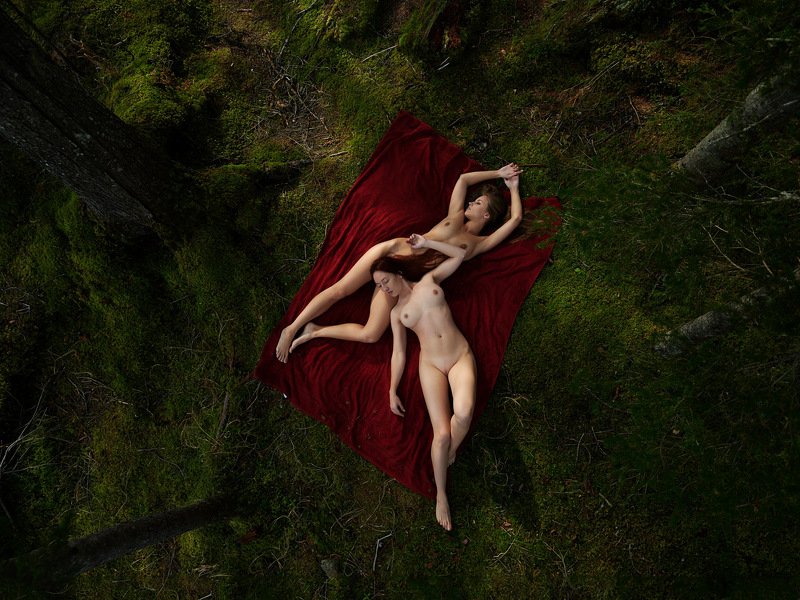 Red carpet фото превью