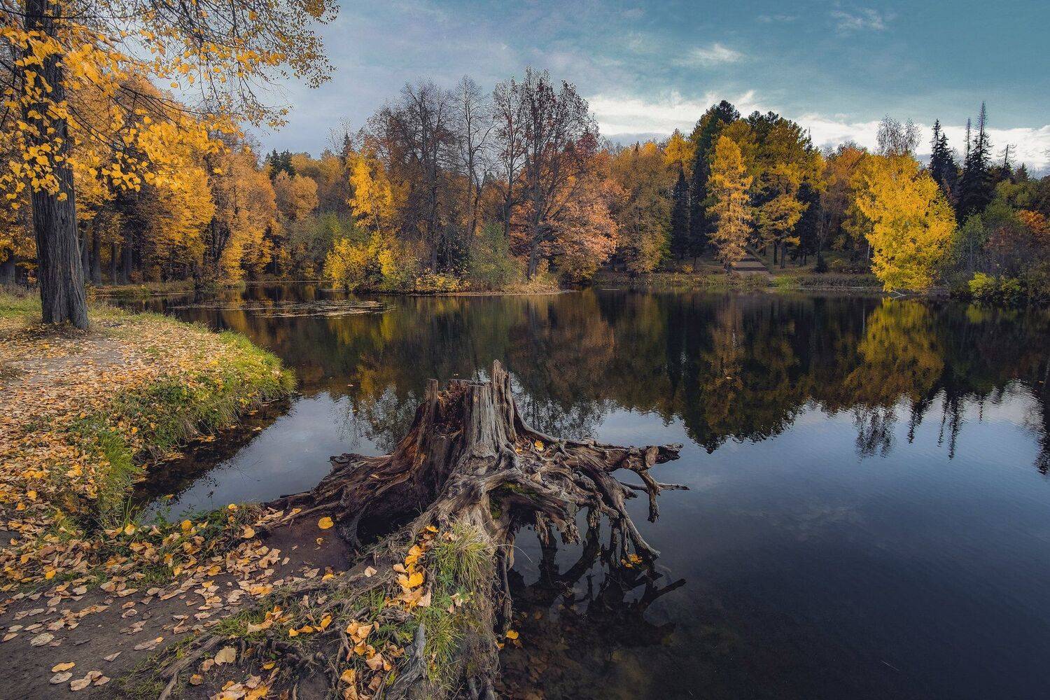 , Екатерина
