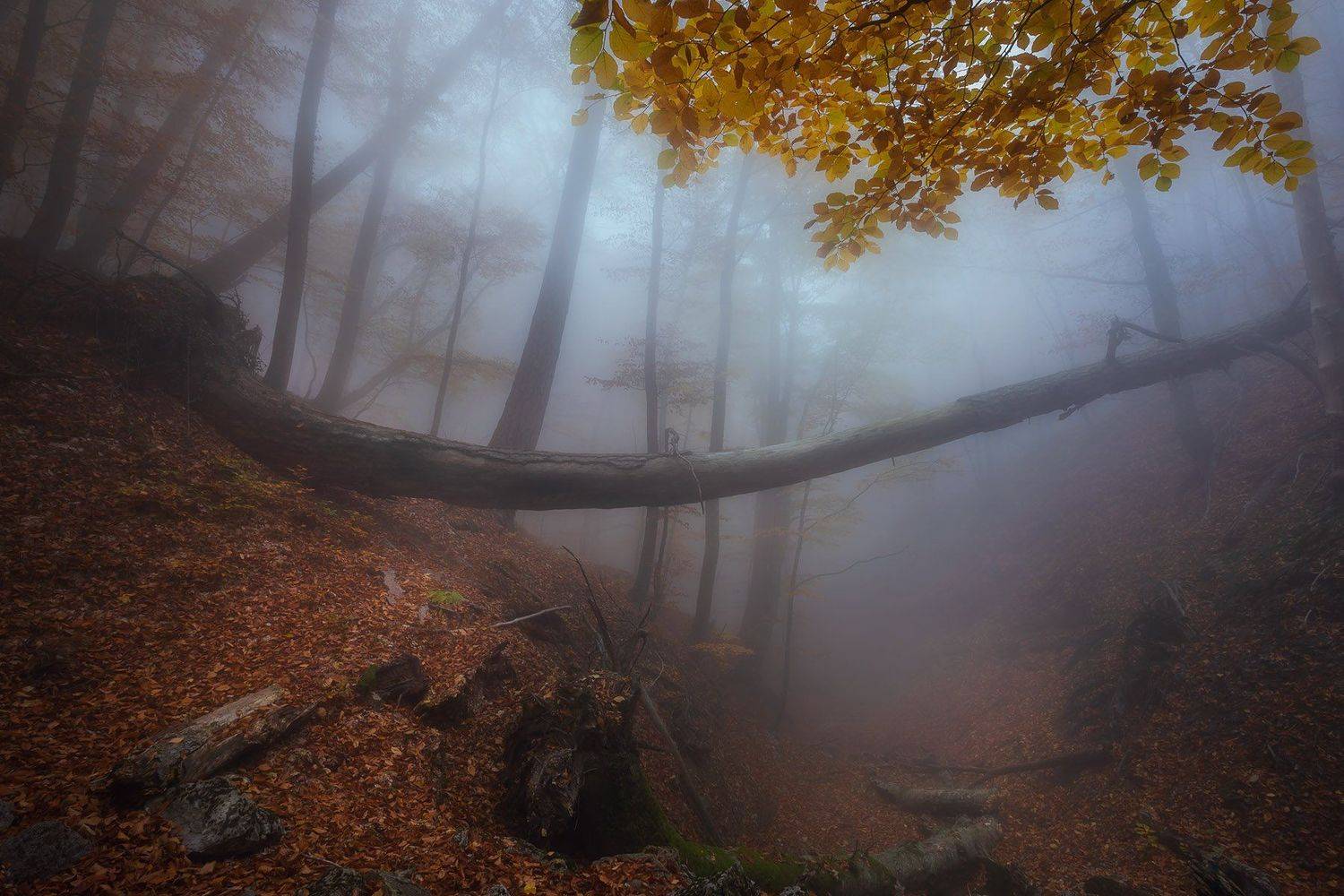 , Александр Костенко