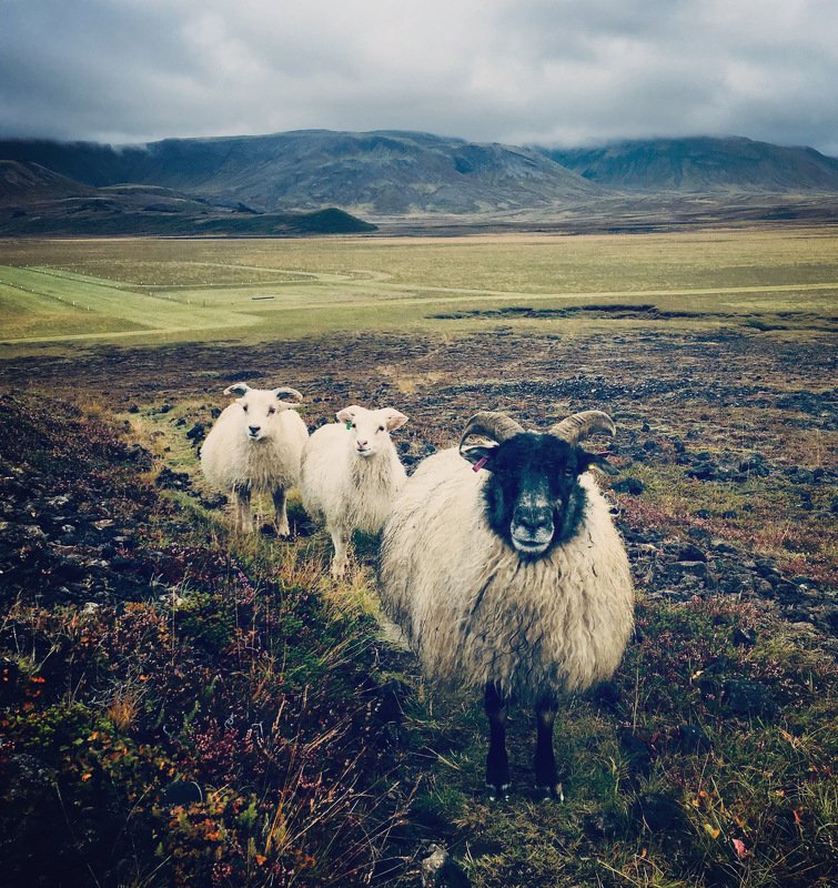 Inspired by Iceland фото превью