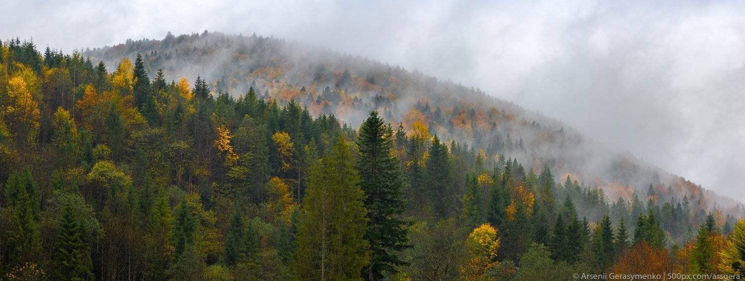 carpathians, carpathian mountains, pasture, countryside, picturesque, pine, tranquil, wood, rural, mountains, foliage, wonderland, land, meadow, field, scenic, tourism, season, house, autumn, mountain, landscape, fall, background, beautiful, tree, outdoor, Арсений Герасименко