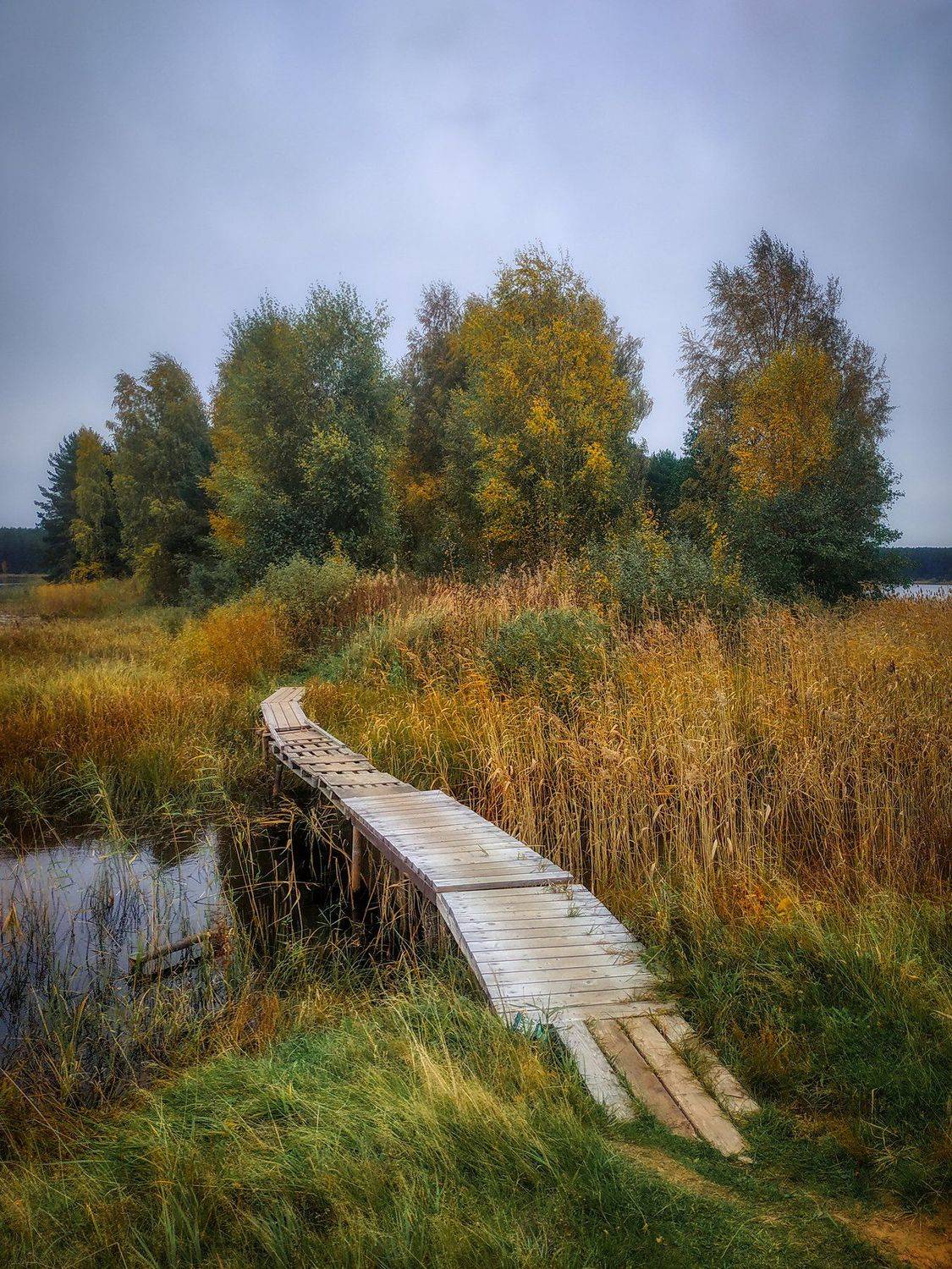 , Федотов Антон