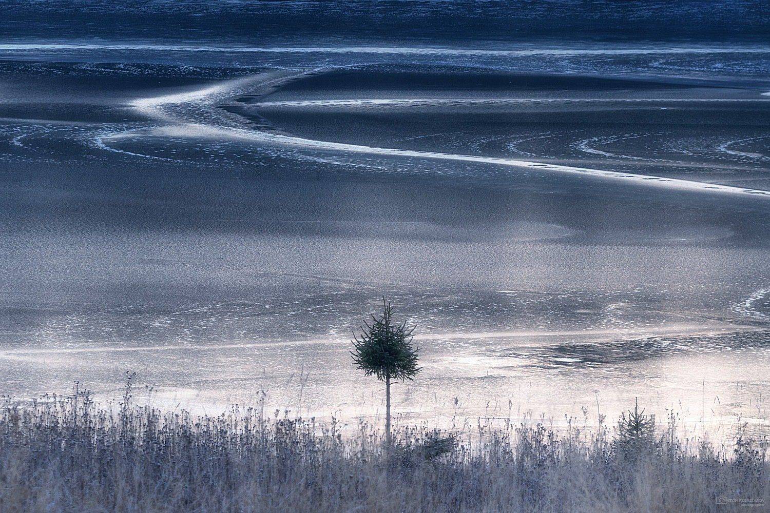 , Антон Кошетаров