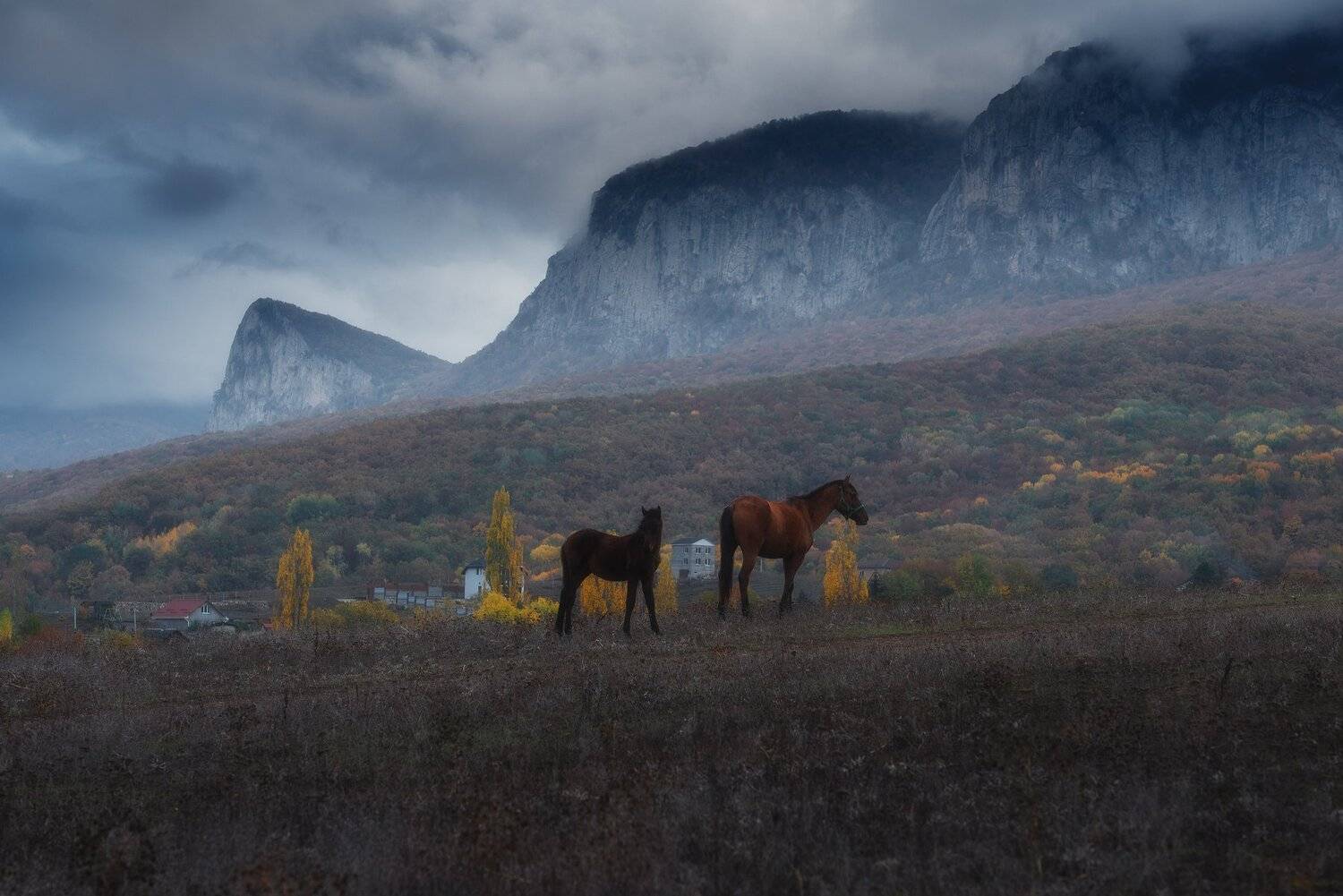 Осень в горном Крыму . Автор: Oleg Feofanov , Oleg Feofanov