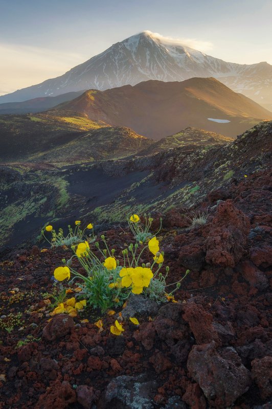 камчатка,толбачик,рассвет,вулкан маки на шлаке фото превью