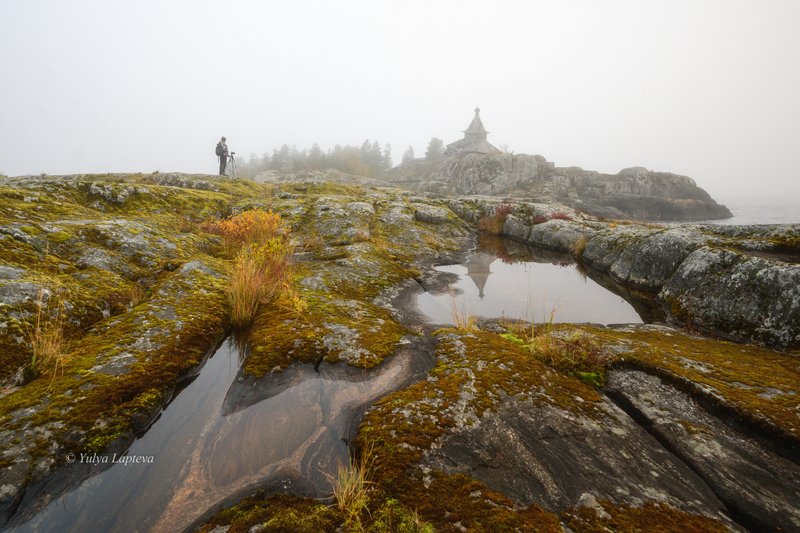 карелия золотая осень,ладожское озеро,о.эсусаарет,туман,утро  фото превью