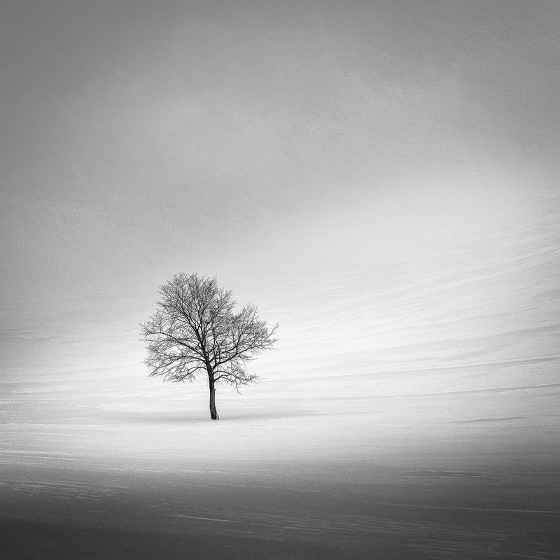 Зимний пейзаж фото превью