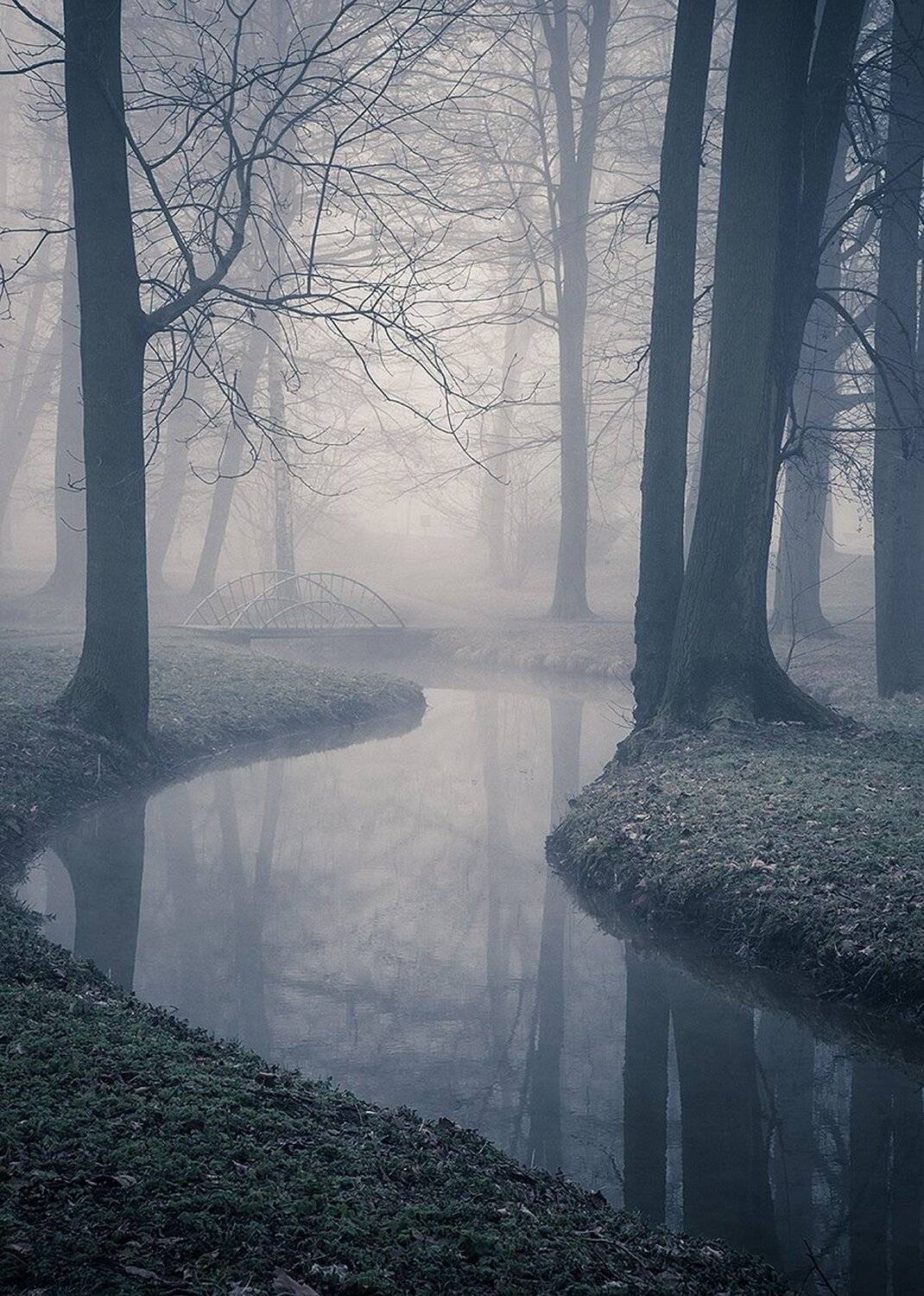 , Robert Adamec