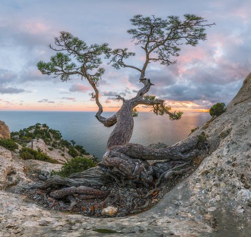 Жизнь на семи ветрах