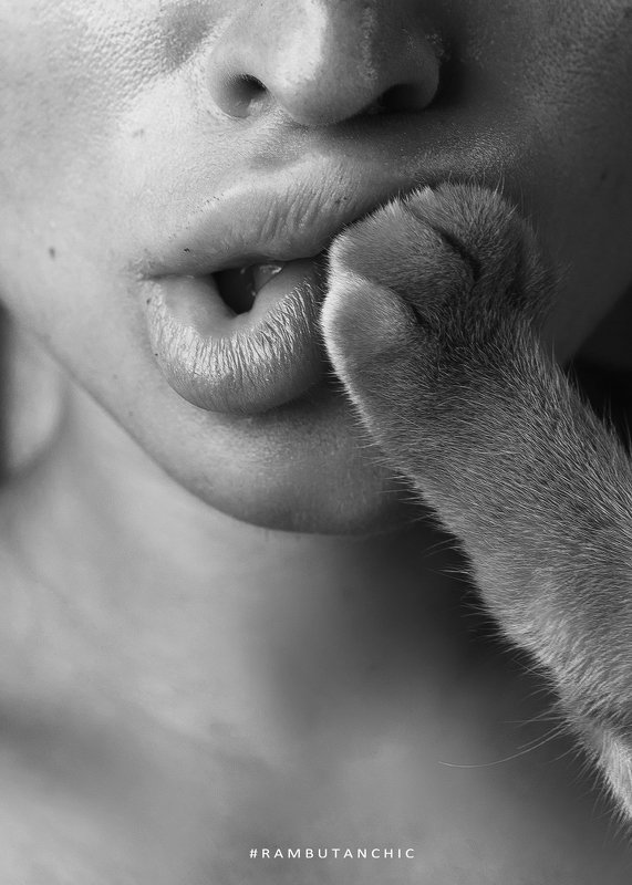 L A B I O S фото превью