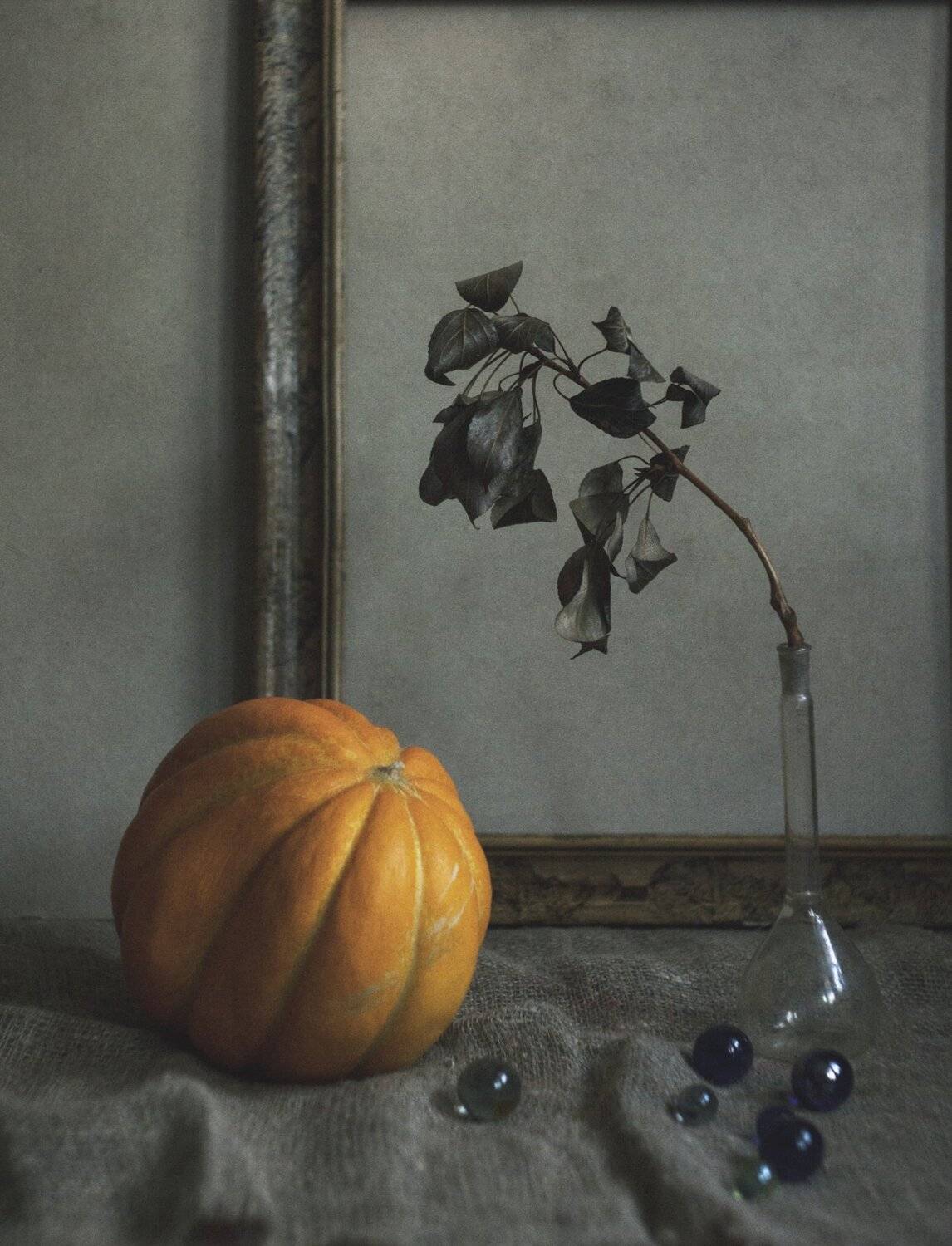 натюрморт, Ольга Алексейчик