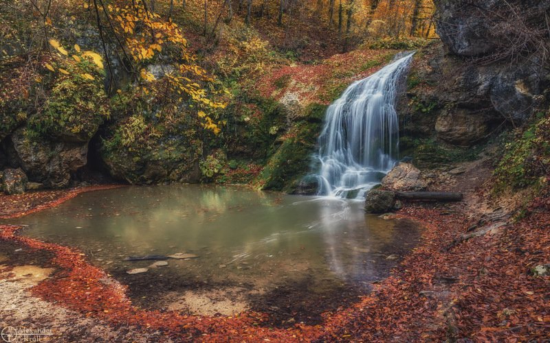 С осенним Шумом... фото превью