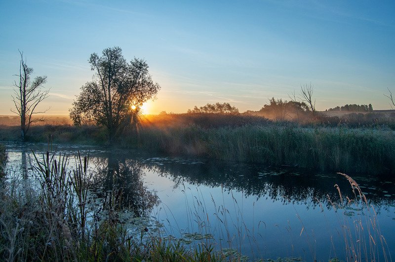 *** фото превью
