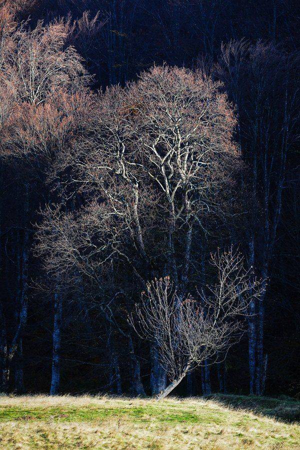 , Stefan Chirobocea