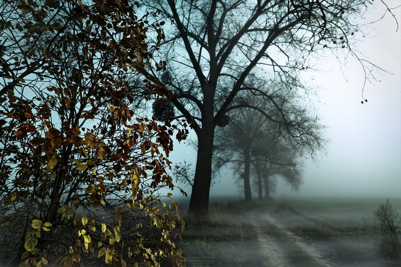 fall фото превью