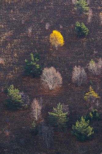 Осенние зарисовки..