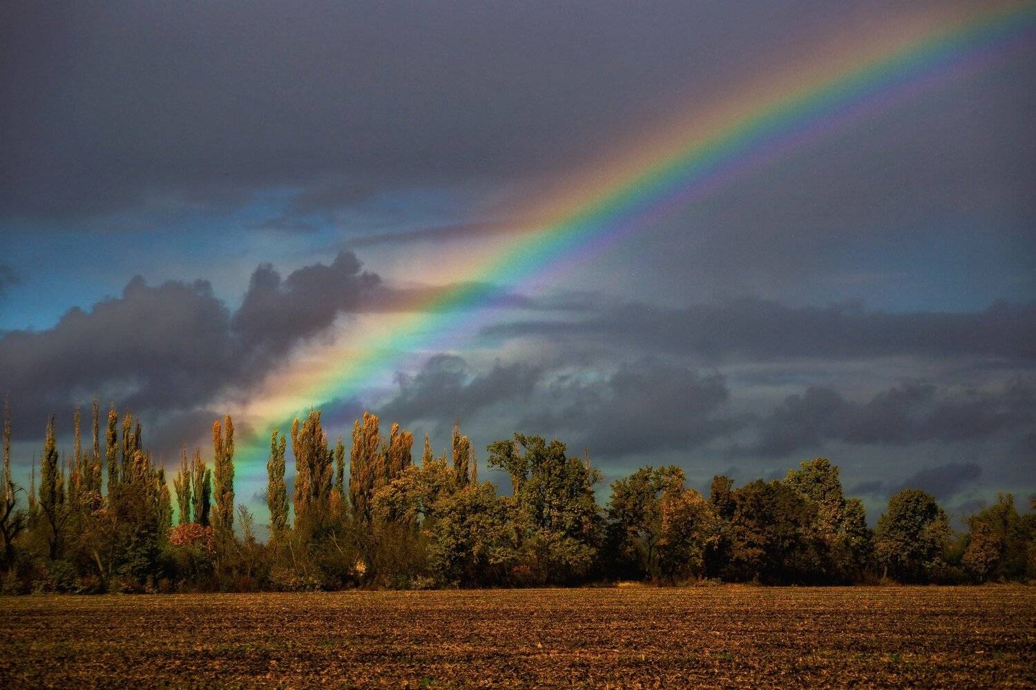 , Павел Сагайдак