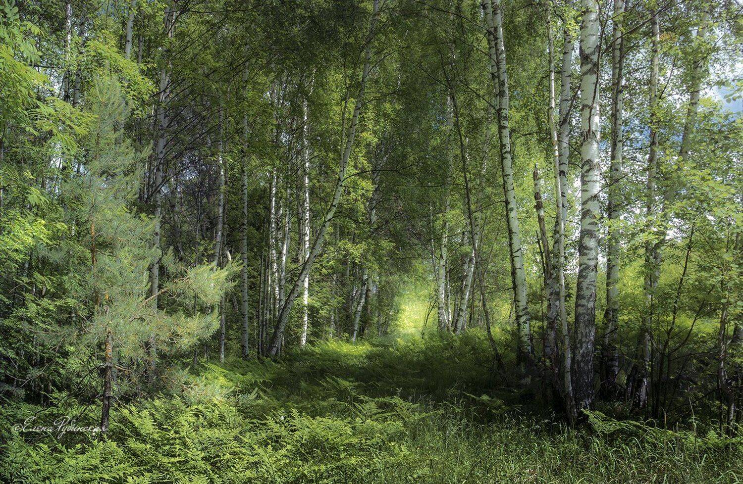 , Елена Рубинская