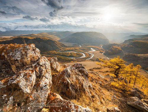 ~ Курайское золото ~
