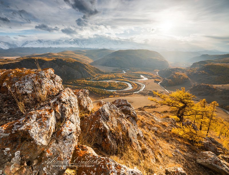 алтай, altai ~ Курайское золото ~ фото превью