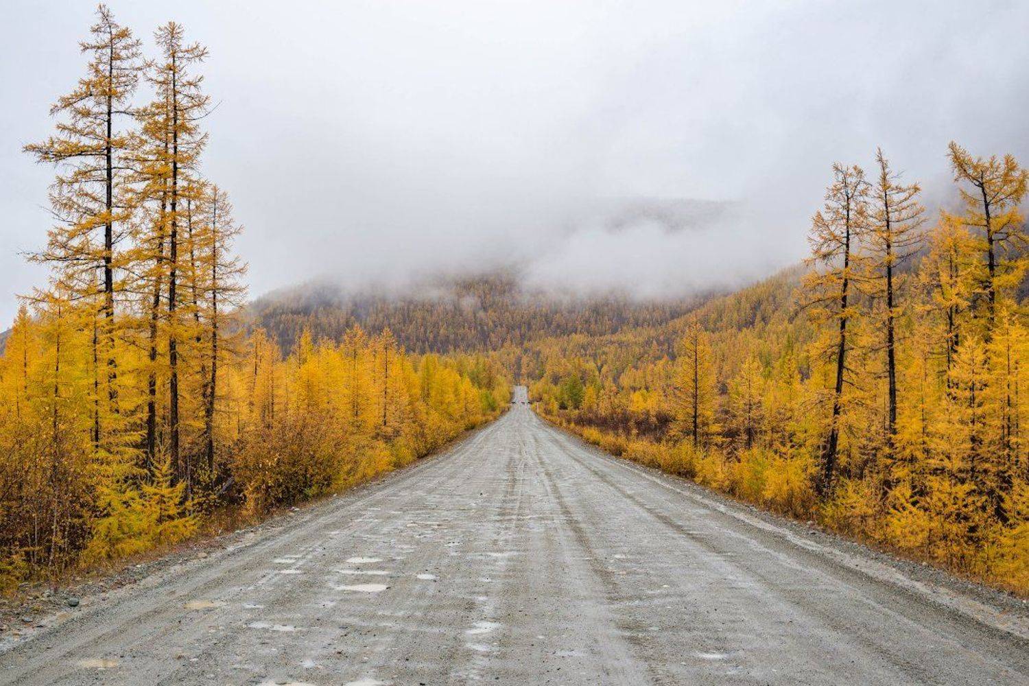 фототур, саяны, Илья Буянов