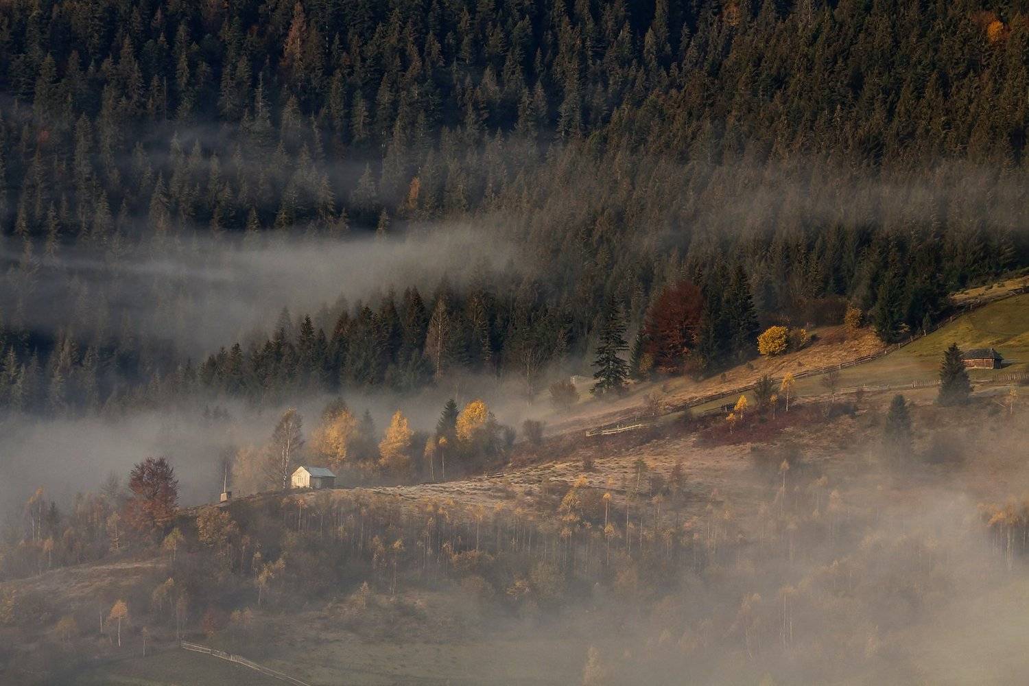 карпаты горы утро туман осень, Михаил Глаголев