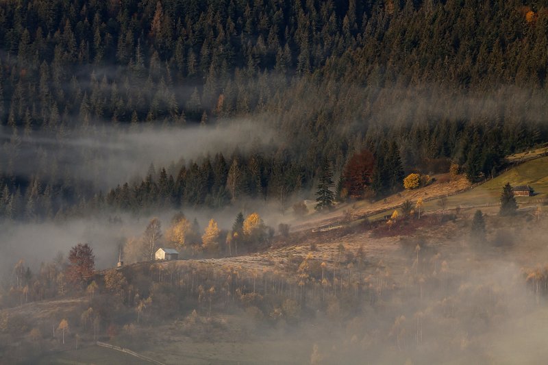 карпаты горы утро туман осень Осенняя история(2)... фото превью