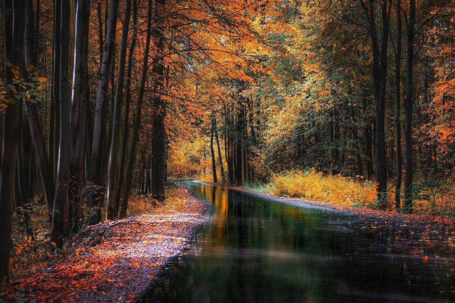 , Екатерина