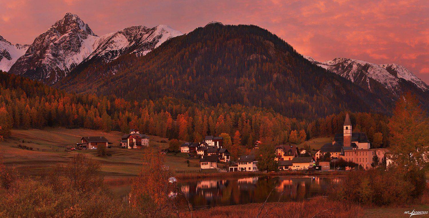 swiss, Матвеев Николай