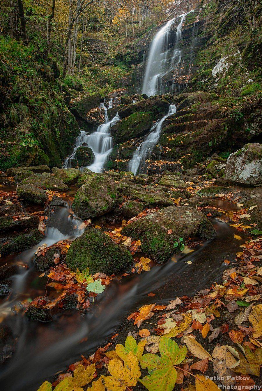 , Петко Петков