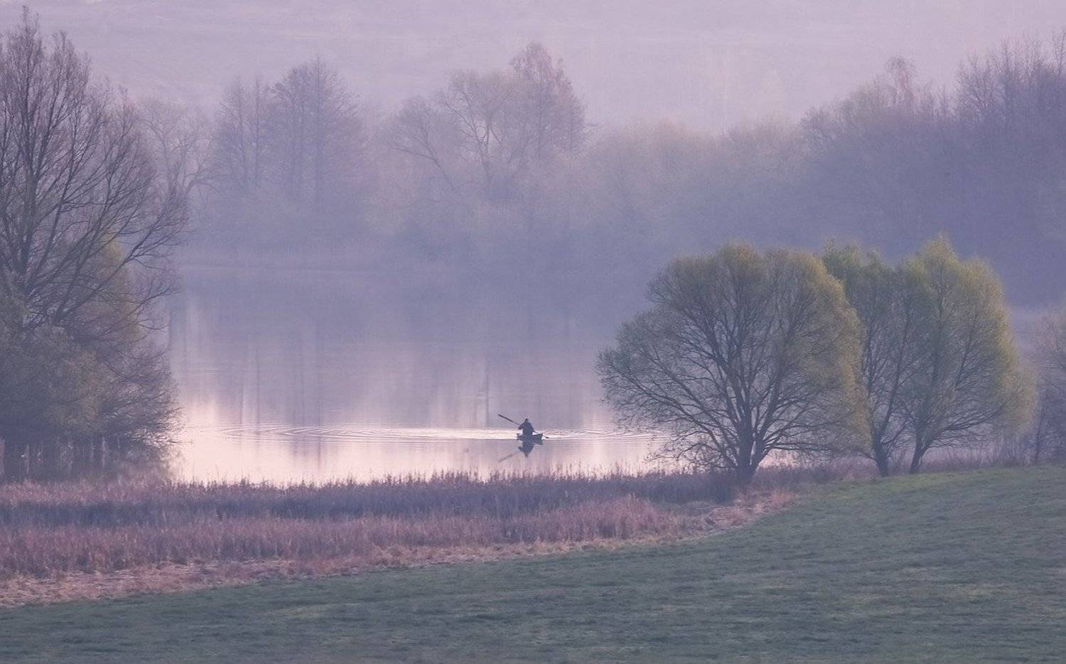 , Вячеслав Мищенко