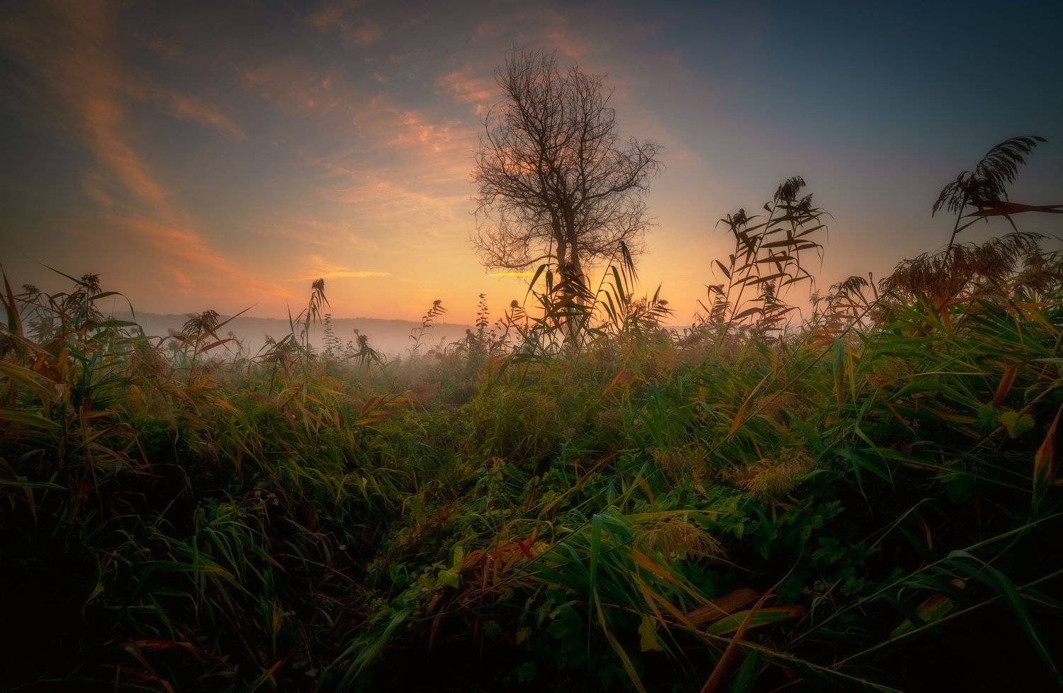 , Alexander Plekhanov