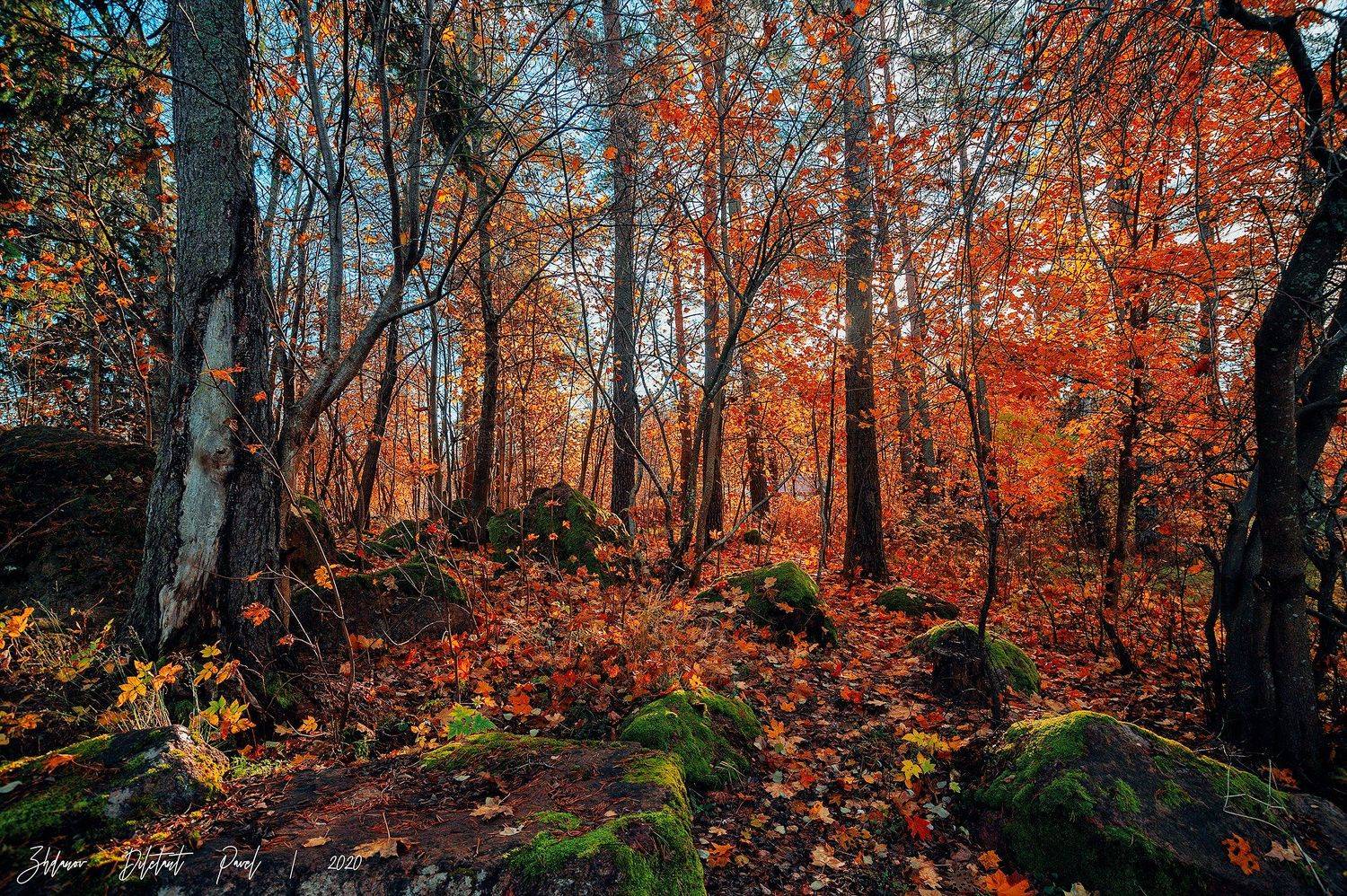 , Павел Жданов