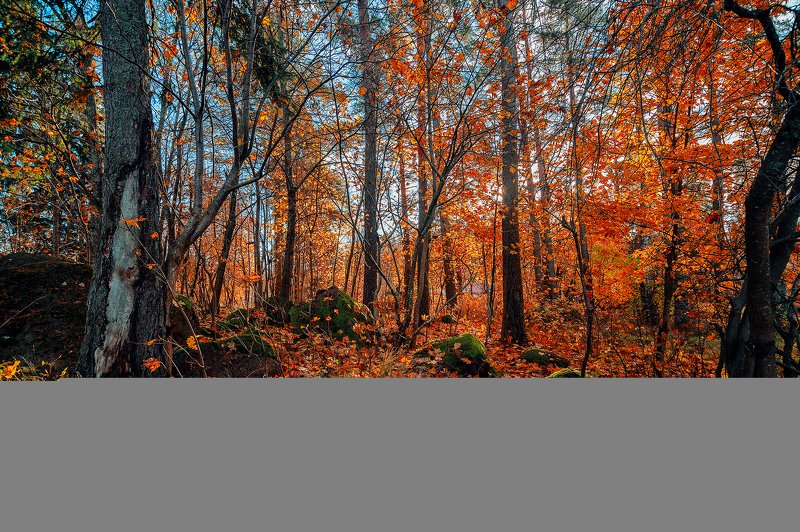 Ноябрь фото превью